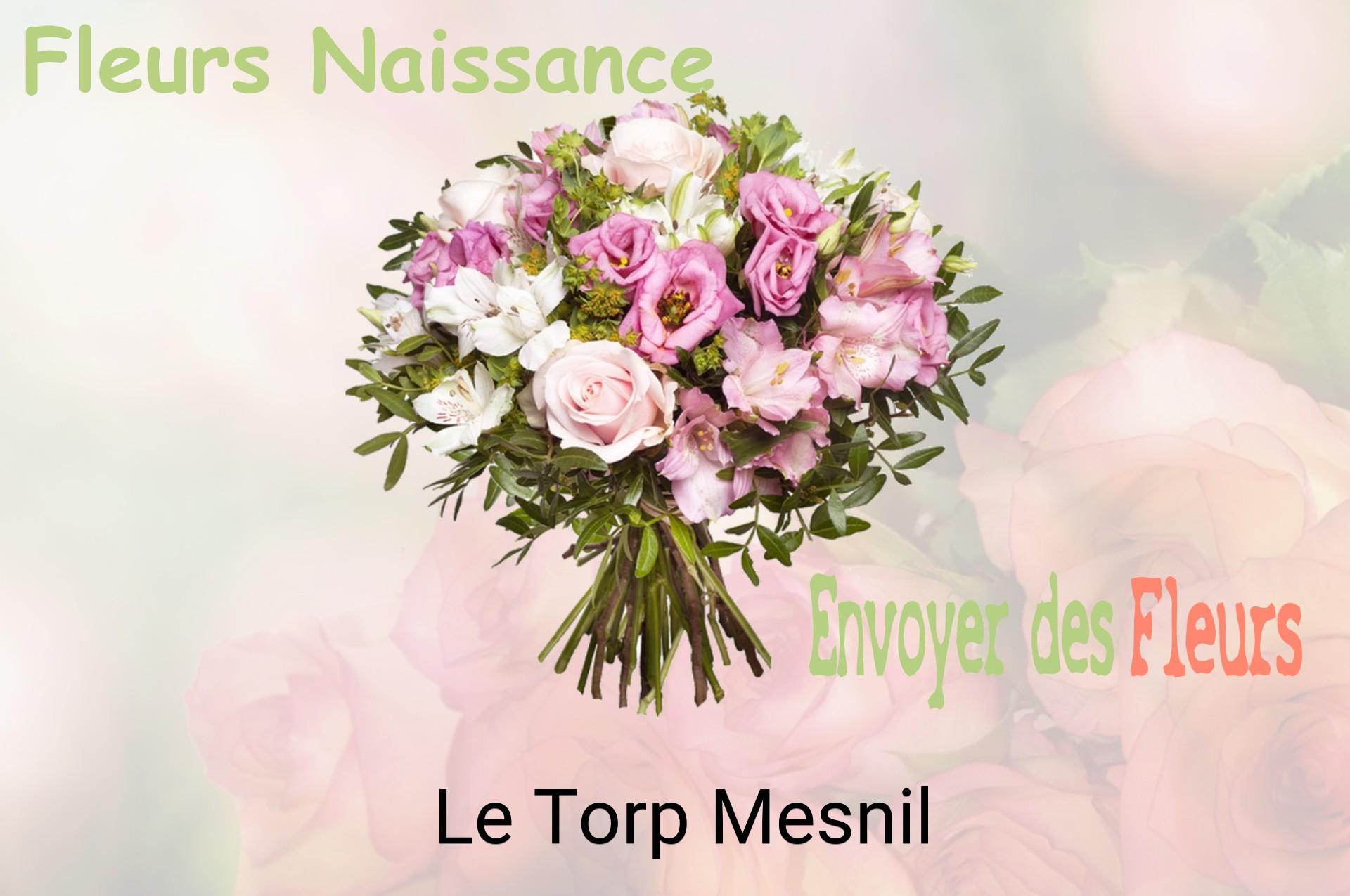 Bouquet de fleurs de naissance livré à Le Torp-Mesnil